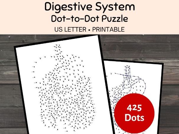 Digestive System Dot-to-Dot Puzzle, Anatomy Science