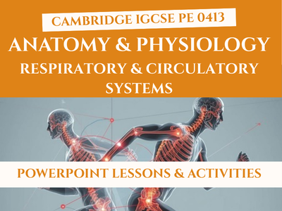 IGCSE PE Anatomy & Physiology: Respiratory & Circulatory Systems Lessons | Updated 2026 | 0413