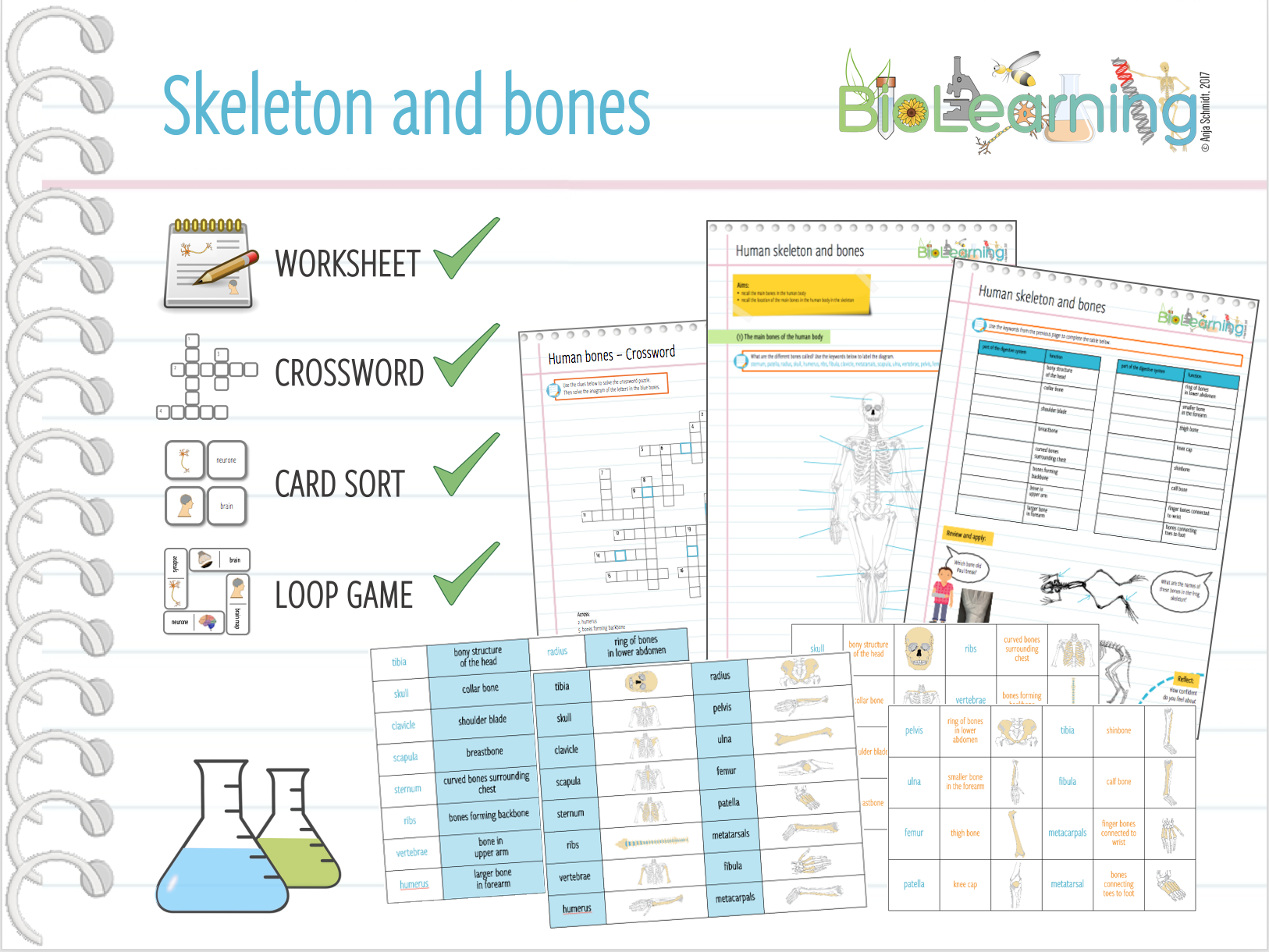 worksheet Seed Dispersal Worksheet Ks2 dr schmidts biology and other resources teaching tes skeleton bones x4 worksheet loop games card sort crossword ks2