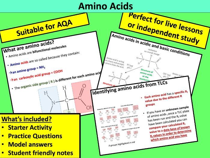 Amino Acids (AQA)