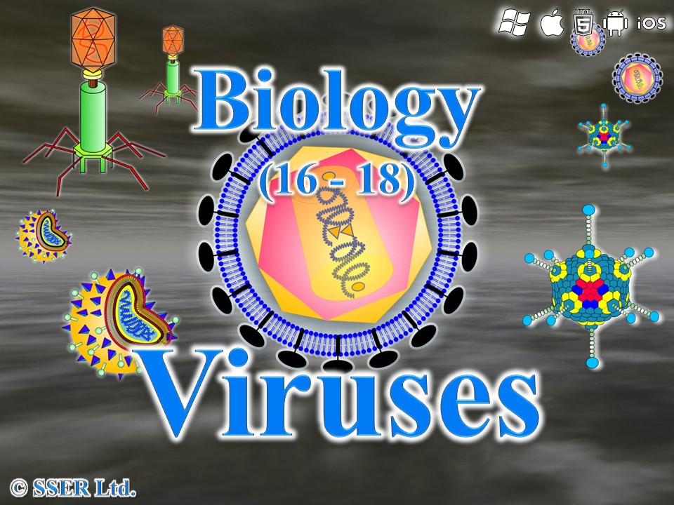 BioA_3.2.1.2  Viruses