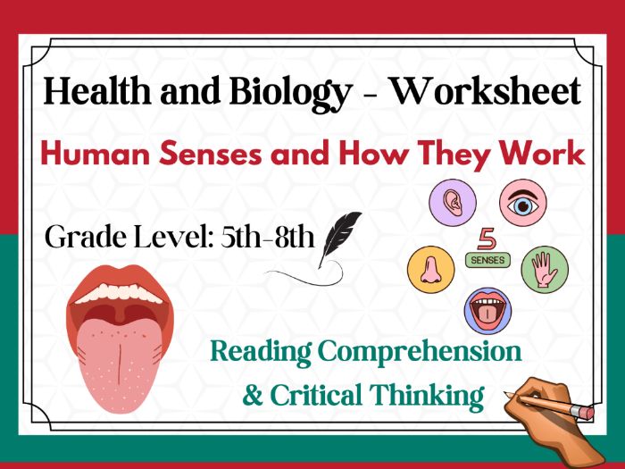 Human Senses and How They Work: Reading Comprehension Passages ...