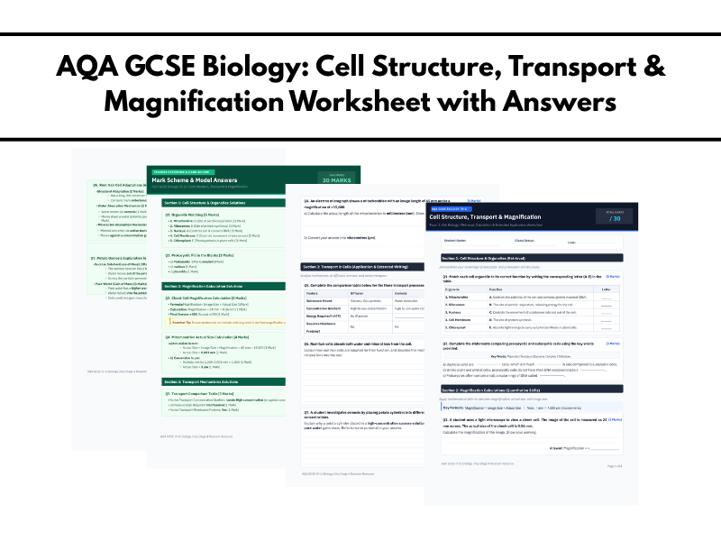 AQA GCSE Biology: Cell Structure, Transport & Magnification Worksheet with Answers