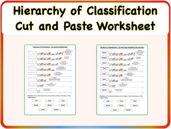 Hierarchy of Classification (Domain, Kingdom, Phylum) - Cut & Paste Worksheet