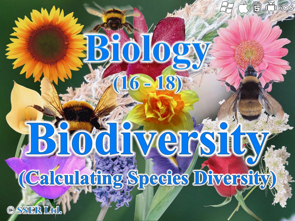 BioA_3.4.6 Biodiversity - Species Diversity Index (AQA, Edexcel & WJEC)