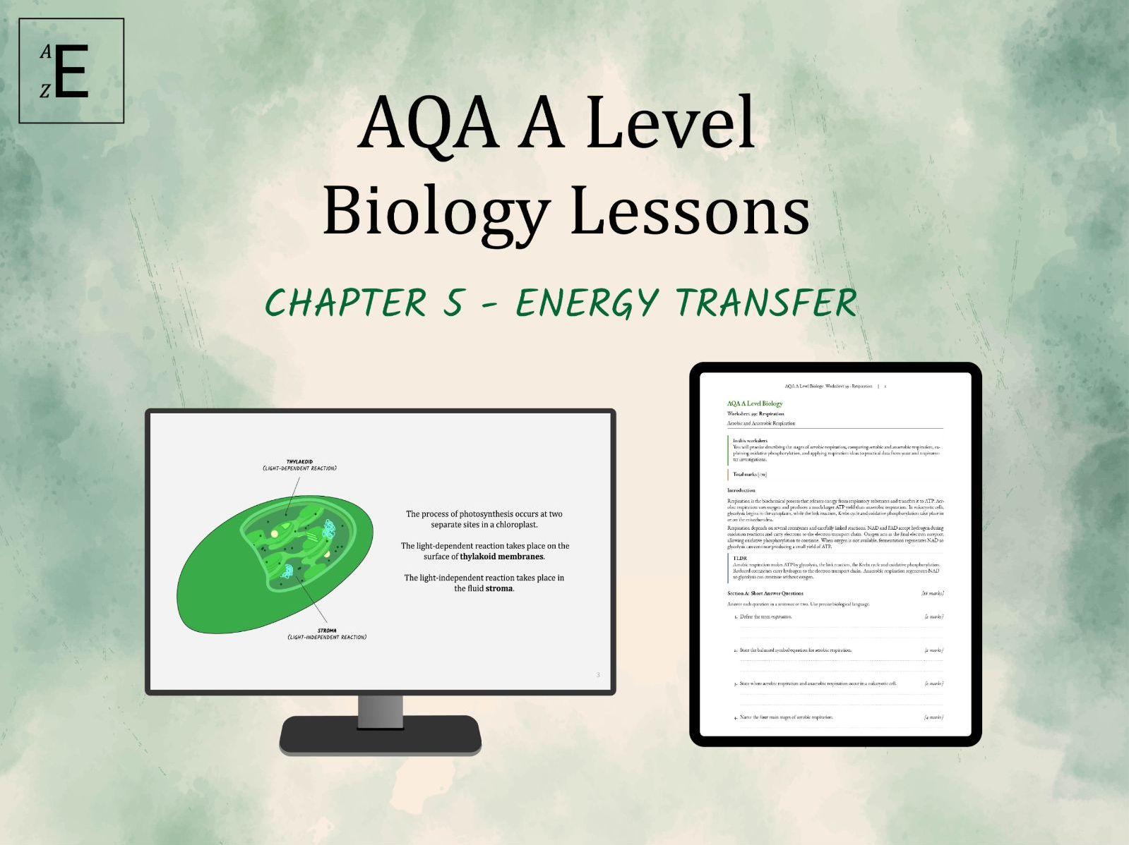 AQA A Level Biology Lessons Chapter 5 - Energy Transfer