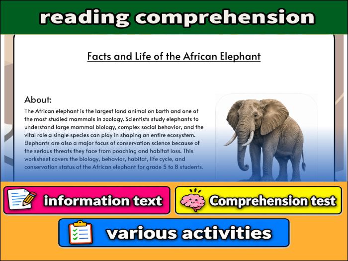 Facts and Life of the African Elephant - zoology & Activities