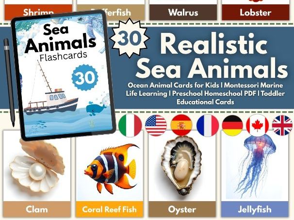 Sea Animals Flashcards | Realistic Ocean Animals | Preschool, Kindergarten, ESL,