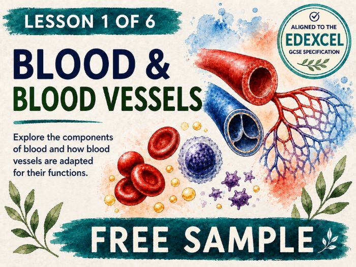 The Blood and Blood Vessels – Lesson 1 of Unit 3 for Edexcel GCSE Biology (FREE)