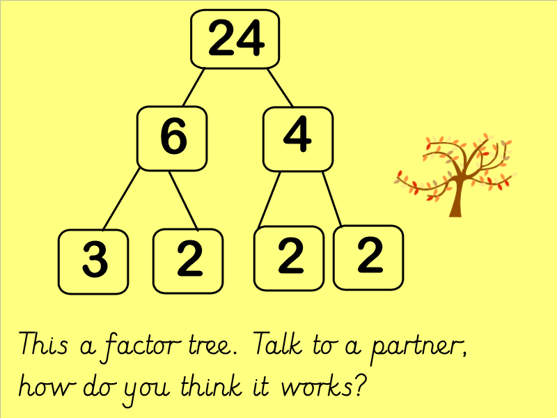 Factor Trees Teaching Resources