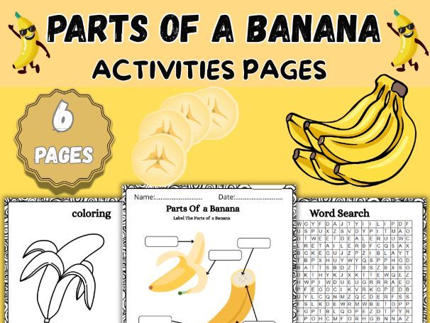 Parts of a Banana Worksheet |Banana Anatomy