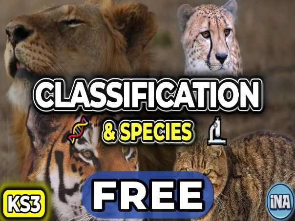 Classification and Species - FREE KS3 Biology Worksheet