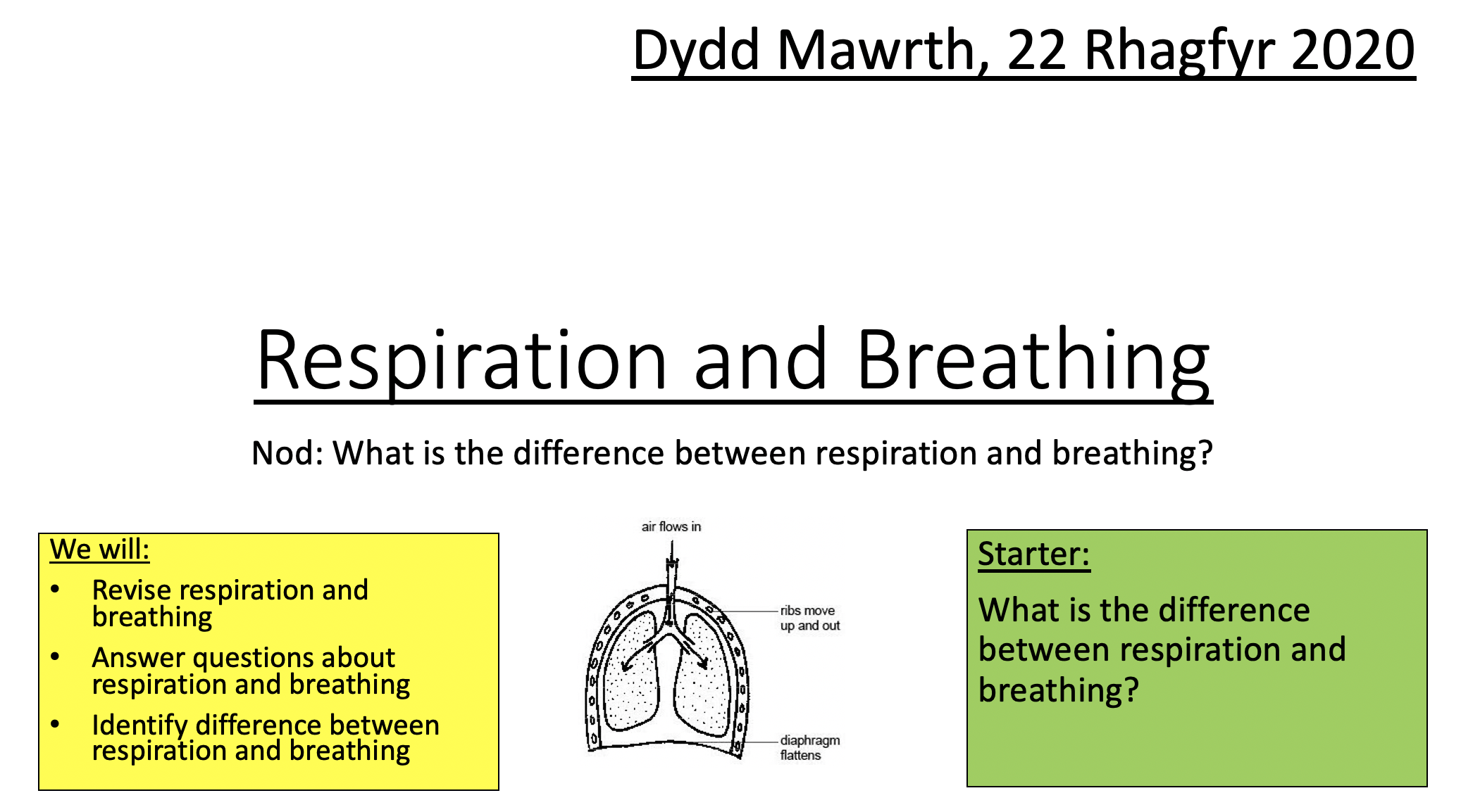 WJEC Unit 1 Biology (powerpoints and resources for 1.1 1.6