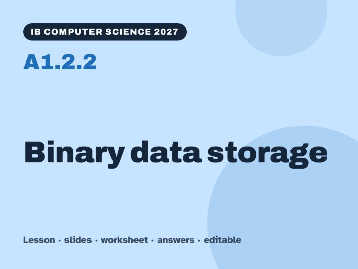 IB Computer Science 2027 – A1.2.2 Binary data storage – Lesson & Worksheet