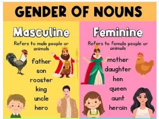 Gender Of Nouns | Poster, Printable, Anchor Chart