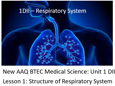NEW: AAQ BTEC Medical Science Unit 1DII Respiratory System - Lesson 1 Structure