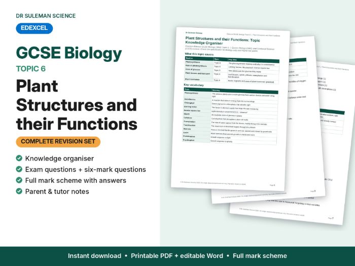 Edexcel GCSE Biology Topic 6 Plant Structures & Functions Revision