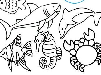 Ocean animals - fact file, colouring and counting
