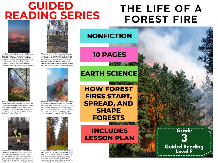 The Life of a Forest Fire: Guided Reading Level P with Lesson Plan