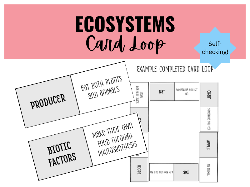 Ecosystems Card Loop Activity Teaching Resources