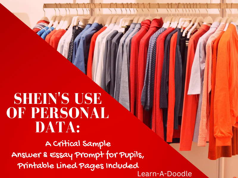 SHEIN's Use of Personal Data: A Critical Sample Answer & Essay Prompt for Pupils