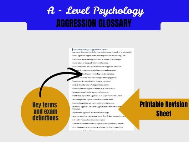 A Level Psychology Aggression Glossary | Biological, Social Learning & Media Influence Key Terms