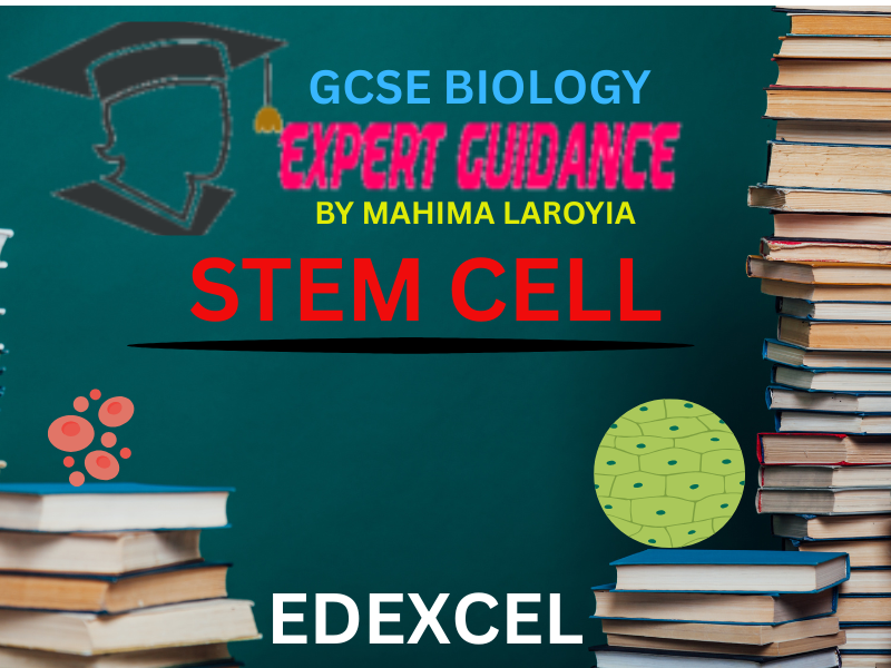 EDEXCEL - GCSE BIOLOGY STEM CELLS