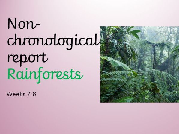 Rainforest non-chronological report unit