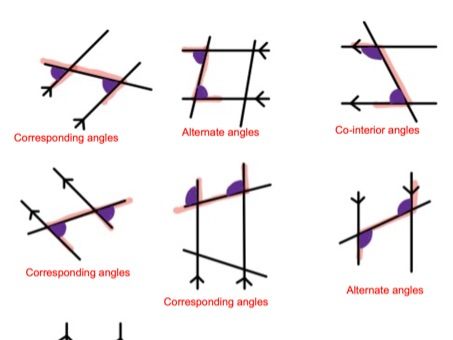 Angles Rules In Parallel Lines Alternate Co Interior Corresponding   Screenshot20200428at143532.crop 453x340 0,0.preview 