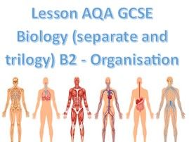 lesson_AQA GCSE_Digestion