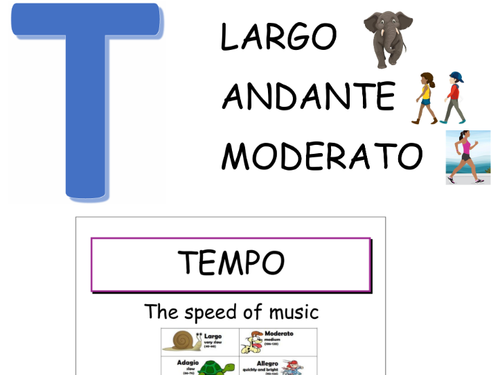 MAD T SHIRTS Music Element Classroom Display