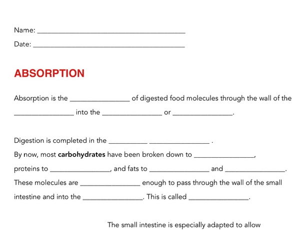 Absorption in human - fill-in notes