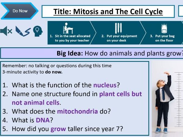GCSE Mitosis and The Cell Cycle Lesson