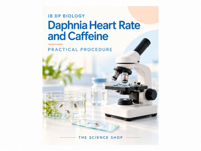 IB Biology Practical: Daphnia, Heart Rate and Caffeine