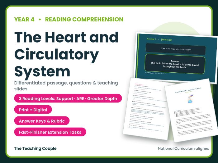 The Human Body: Heart Reading Comprehension Bundle | Year 4 (KS2)