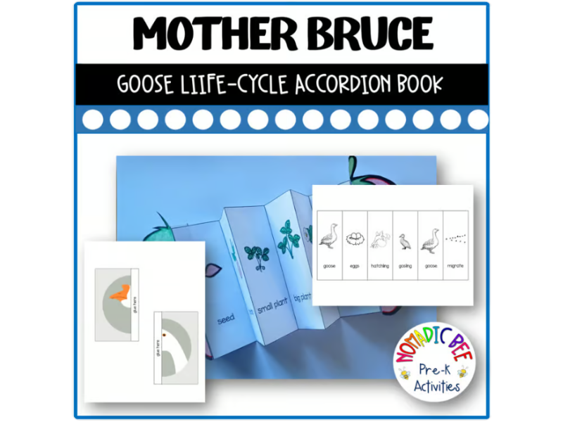 Mother Bruce Activities - Goose Life Cycle Accordion Book