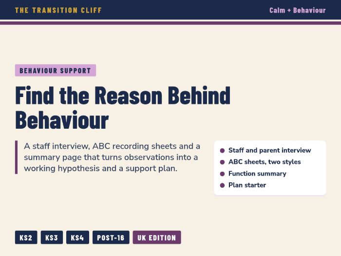 Functional Behaviour Assessment Interview + ABC Pack: Find the Reason Behind Behaviour (SEND)