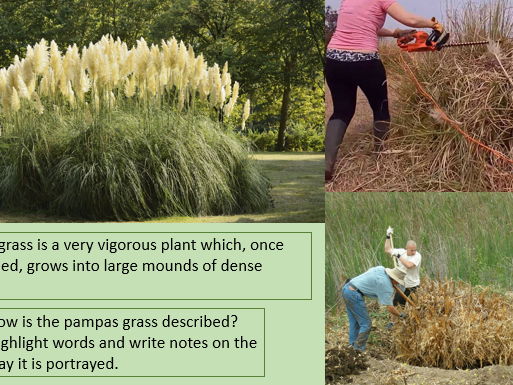 lessons for most of Poems of the Decade