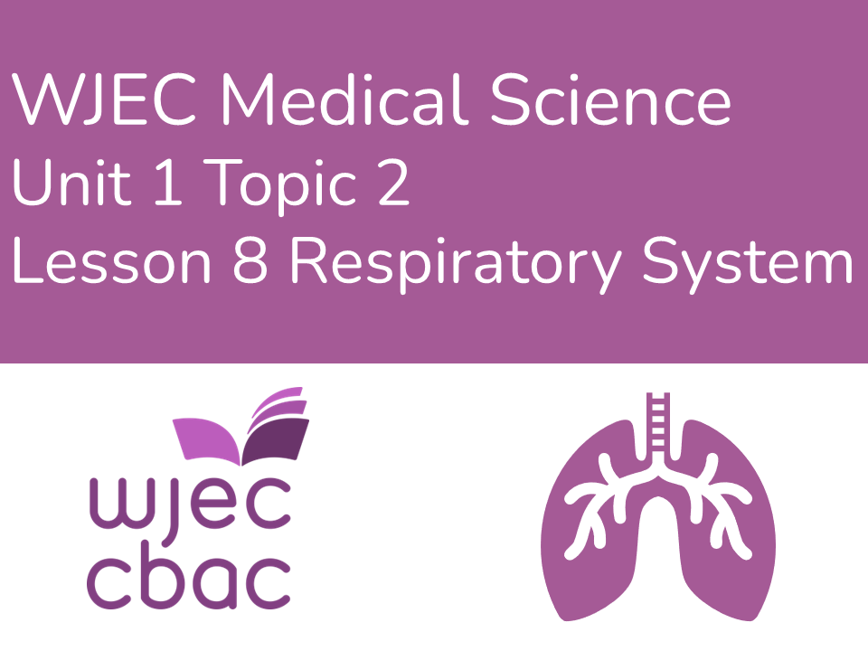 WJEC AAQ Medical Science 1.2 Respiratory System
