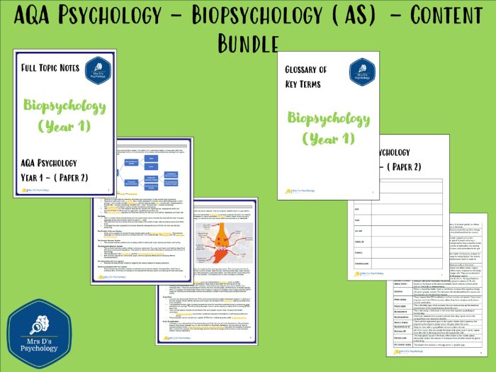Biopsychology (AS) (AQA Psychology) - Full Topic Notes & Glossary (New Spec - A Level Exams 2027)