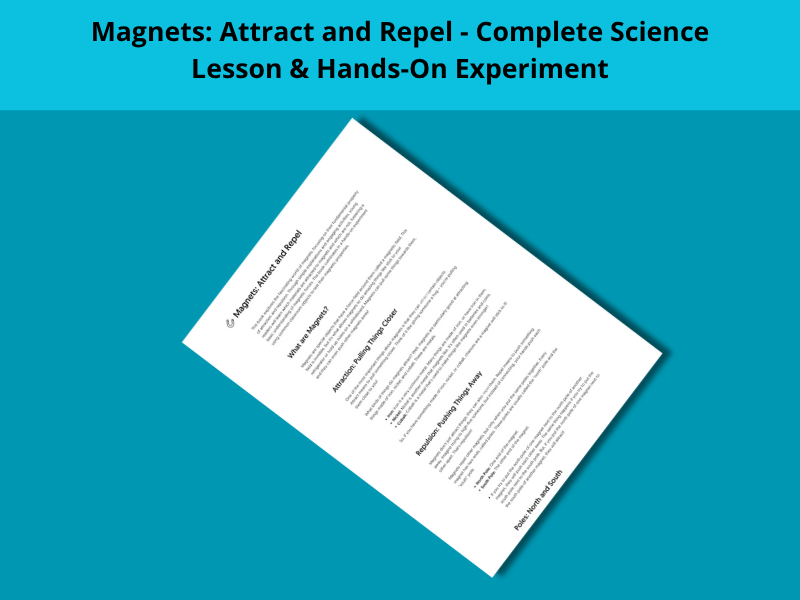 Magnets: Attract and Repel
