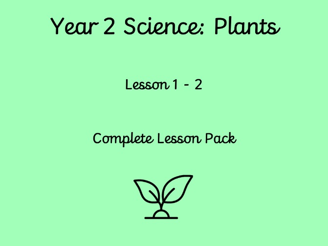 Year 2 Science: Plants | Lesson 2 | Germination and Seed Growth