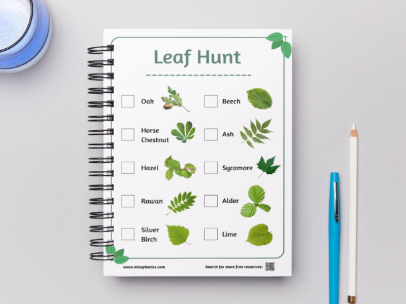 Leaf Scavenger Hunt | Tree & Leaf Identification Nature Walk Outdoor Activity