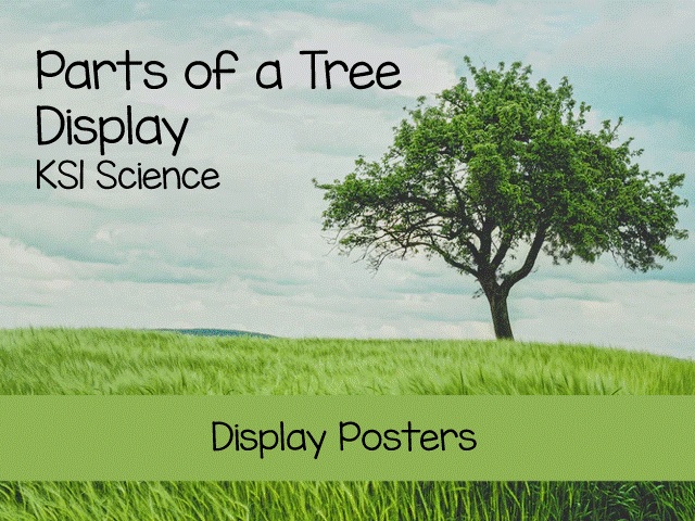Parts of a Tree Vocabulary & Display Pack , Trees and Plants,  KS1 Science