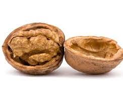 AQA GCSE English Language Bundle