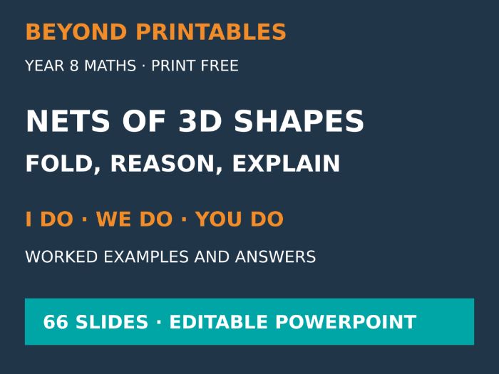 Nets of 3D Shapes | I Do, We Do, You Do | Year 8 Maths | Print Free
