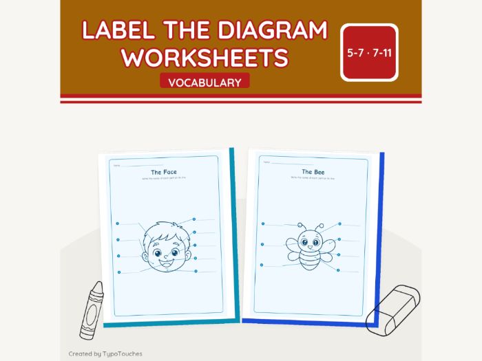Label the Diagram Worksheets | 34 pp