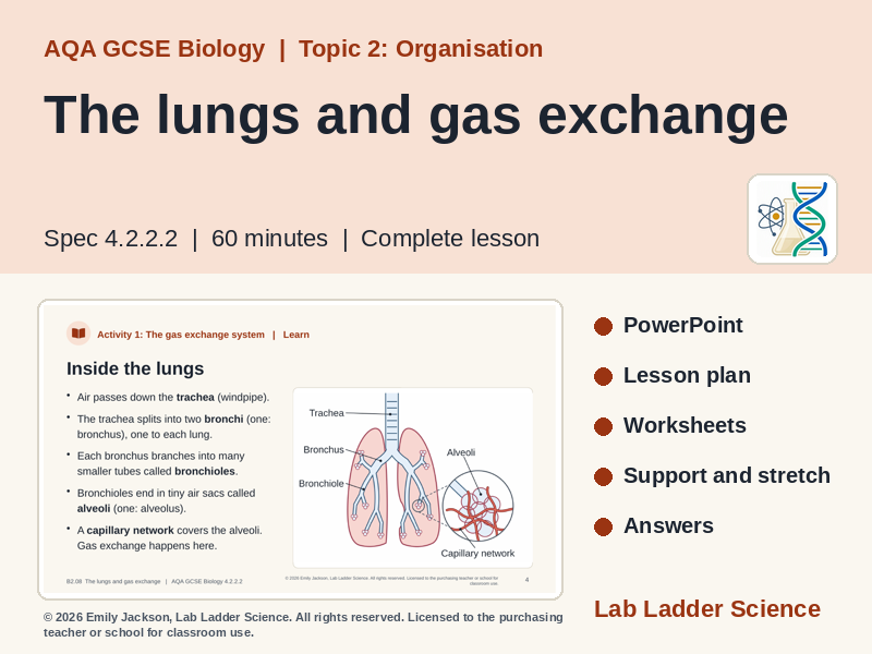 B2-08 Lungs & Gas Exchange: AQA GCSE Biology