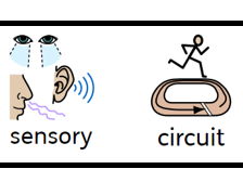 Sensory Circuit