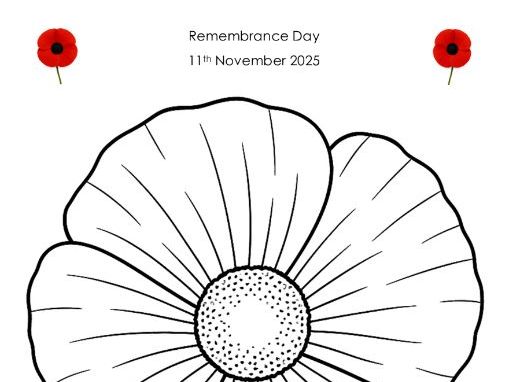 Remembrance Day - poppy to decorate